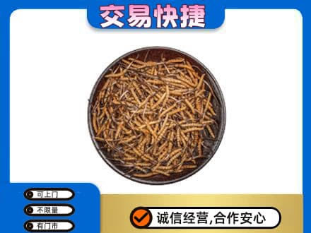 京山市回收散虫草